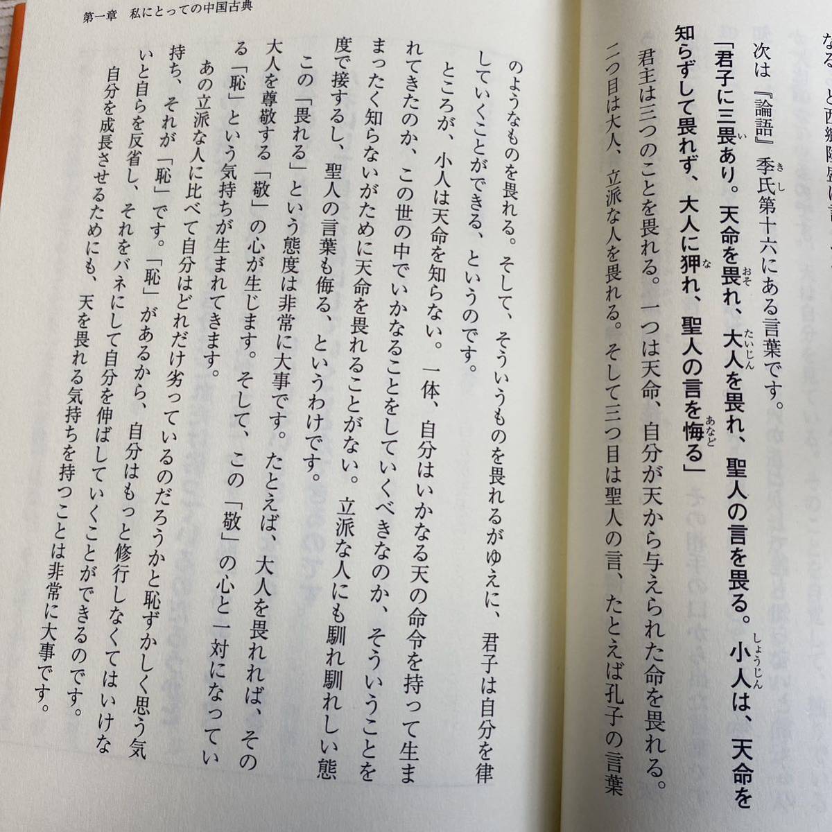 君子を目指せ小人になるな : 私の古典ノート