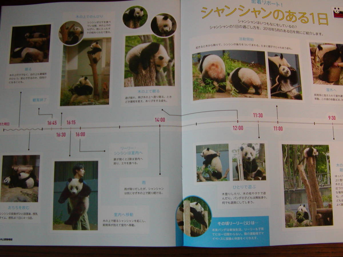 「みんなの上野動物園 Vol.65 ジャイアントパンダ お誕生日おめでとう! シャンシャンの成長」＆「Vol.64 アイアイ 上野のマダガスカル」_画像3