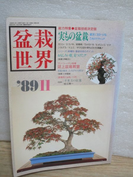 盆栽世界　1989年11月■実もの盆栽（カリン・エゴノキ他）/おもしろい樹：ビナンカズラ/坪庭に盆栽樹形を学ぶ_画像1