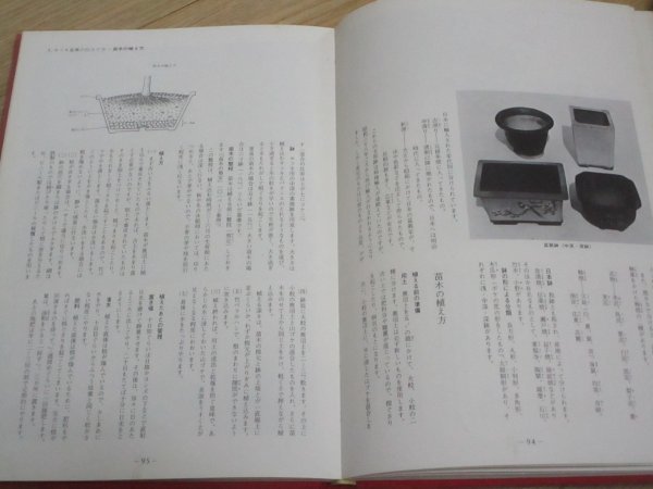 さつき盆栽詳解■さつき 鑑賞と盆栽仕立て　沖田一栄・沖田好弘/保育社/昭和45年　華号付銘品/品種/育成法/盆栽仕立て方_画像8