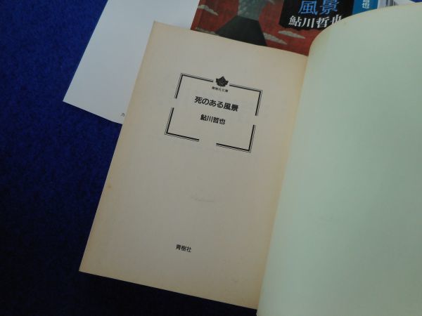 2*.. есть пейзаж Ayukawa Tetsuya / Seijusha Bunko 1995 год, первая версия, с покрытием название ..*... часть ... доводить до крайности есть. основной длина сборник 