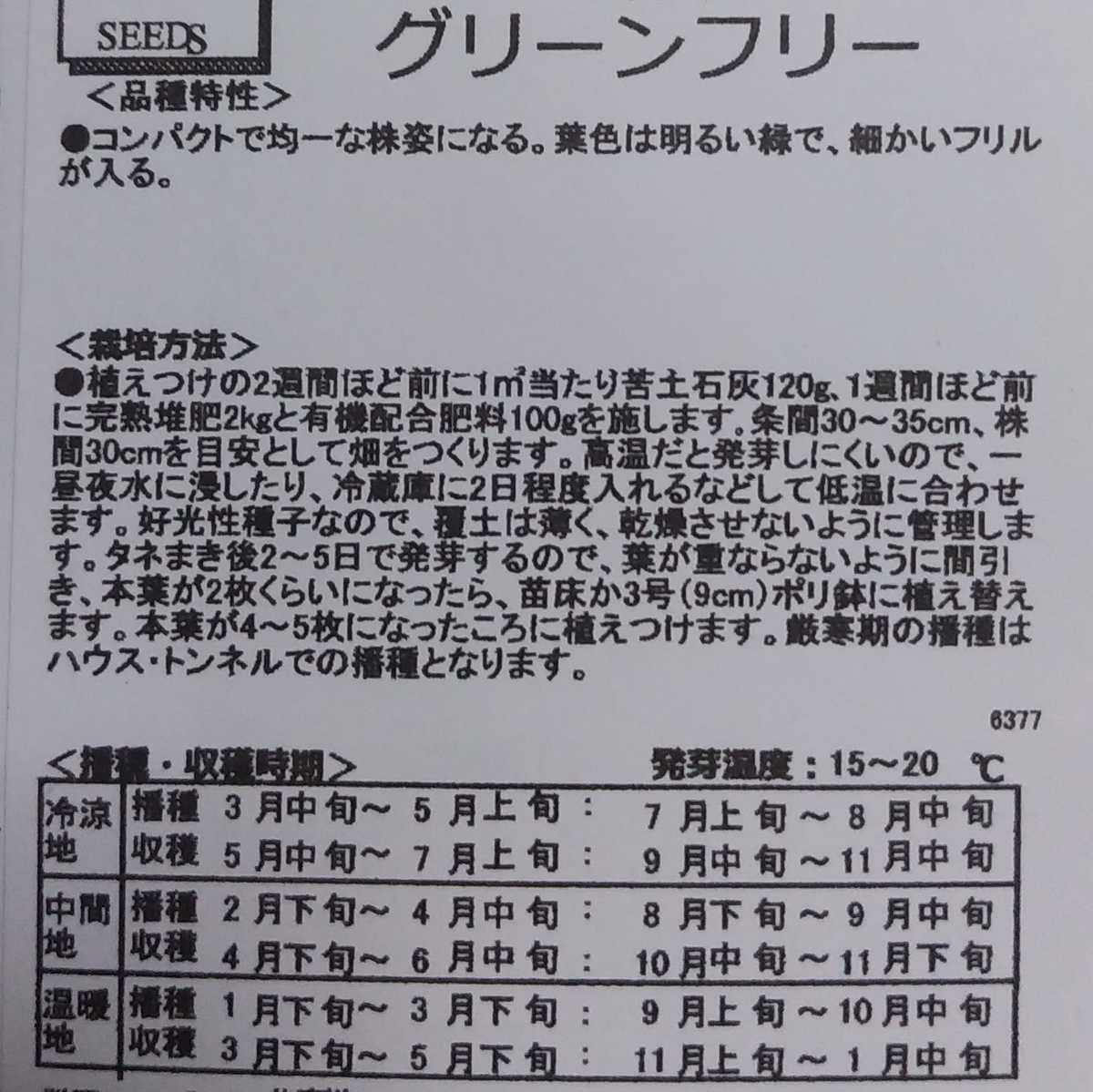 レタス・グリーンフリーの種子 100粒 細かいフリルレタス【2023.9】ベビーリーフとしても♪リーフレタス_画像2