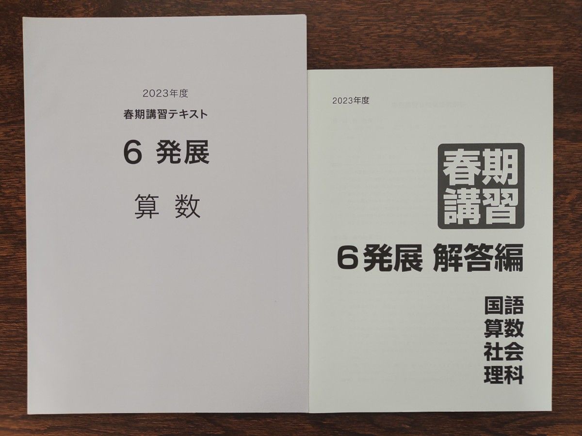 中学受験 算数 日能研 春期講習 6年 標準+発展+応用 解答解説付き 2023年度版