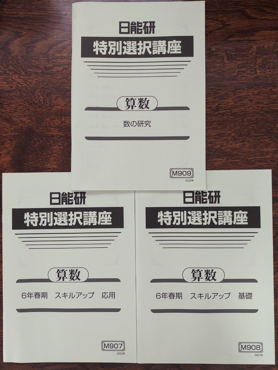 中学受験 算数 日能研 春期講習 6年 スキルアップ 基礎+応用 解答解説付き 2023年度版