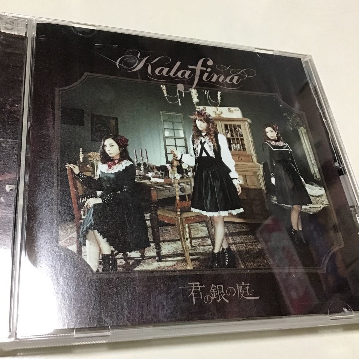 君の銀の庭／Ｋａｌａｆｉｎａ_画像1