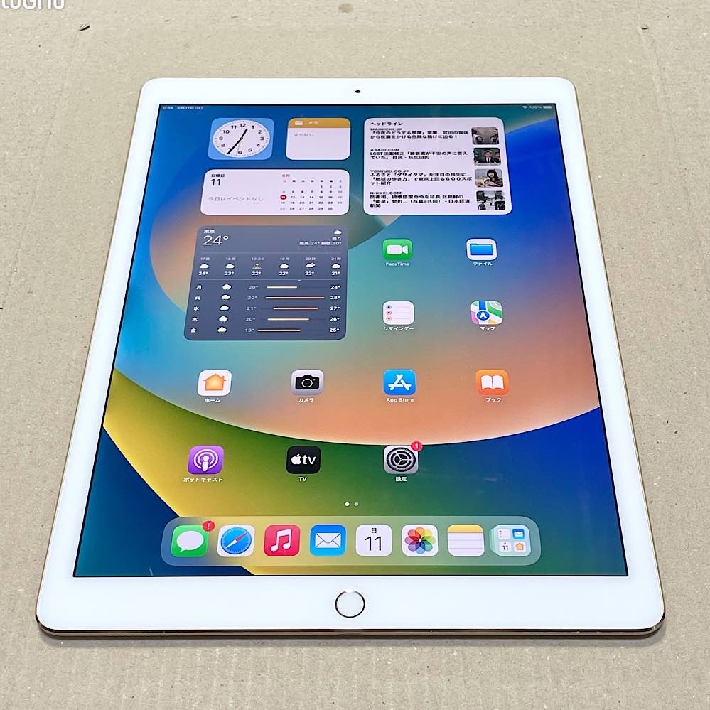 売れ筋 美品 SIMフリー iPad Pro 第2世代 11インチ 256GB シルバー 即日発送 タブレット 白ロム Apple あすつく  土日祝発送OK