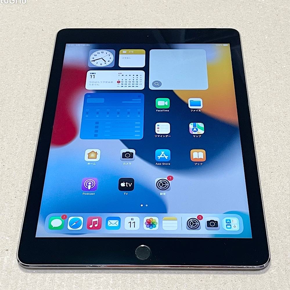 iPad mini4 16GB au スペースグレイ 判定◯ - iPad本体