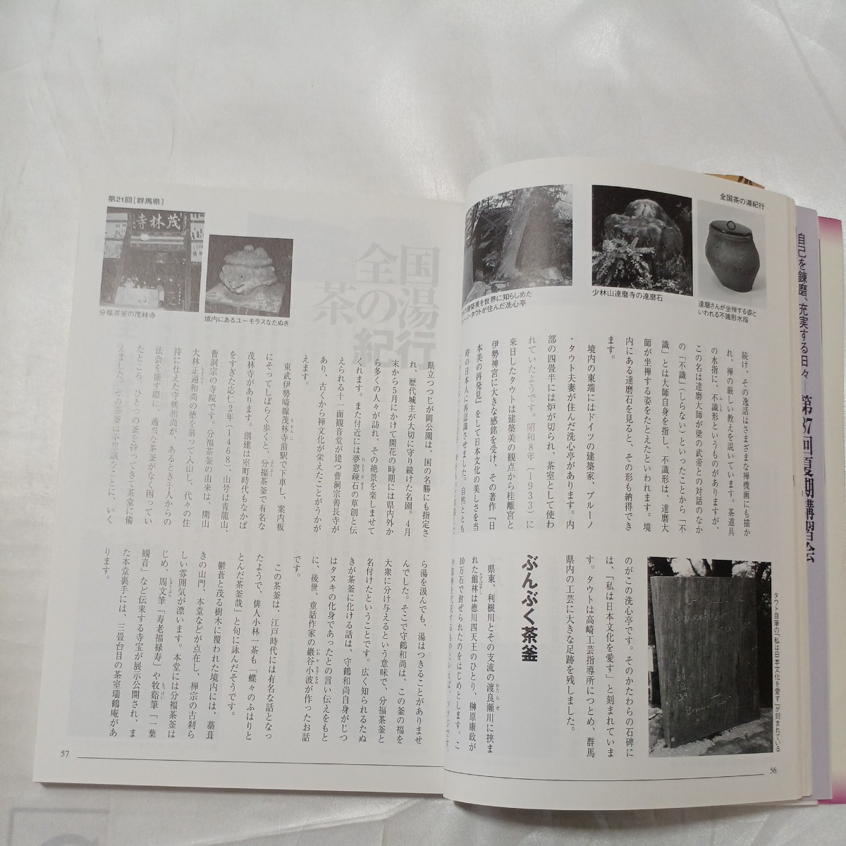 zaa-466♪茶道誌『淡交』　2001年9月号　特集　名月ー意匠と表現　『全国茶の湯紀行』群馬県　_画像10
