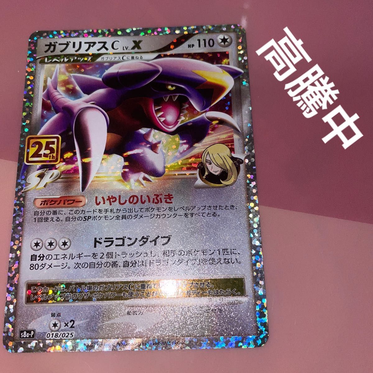 ポケモンカード プロモ ガブリアス 25周年 プロモーションカード ポケモンカード プロモ ガブリアス 25周年 プロモーションカード