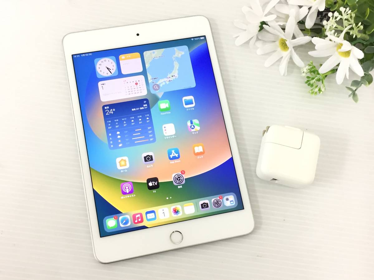 〇【良品】au iPad mini 第5世代 Wi-Fi+Cellularモデル 64GB A2124
