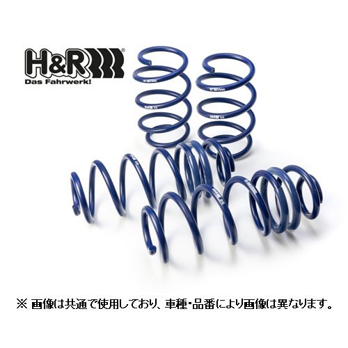 H＆R ダウンサス ロアVer BMW 3シリーズ E90 320i/323i/325i/330i VA20/VB##/PG##/PH25　29183-1_画像1