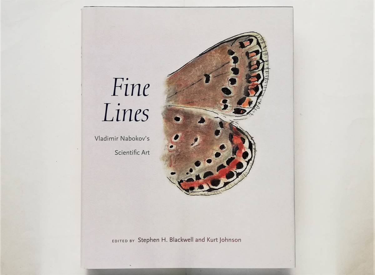 Fine Lines　Vladimir Nabokov’s Scientific Art　ウラジーミル・ナボコフ 蝶 butterfly drawing_画像1