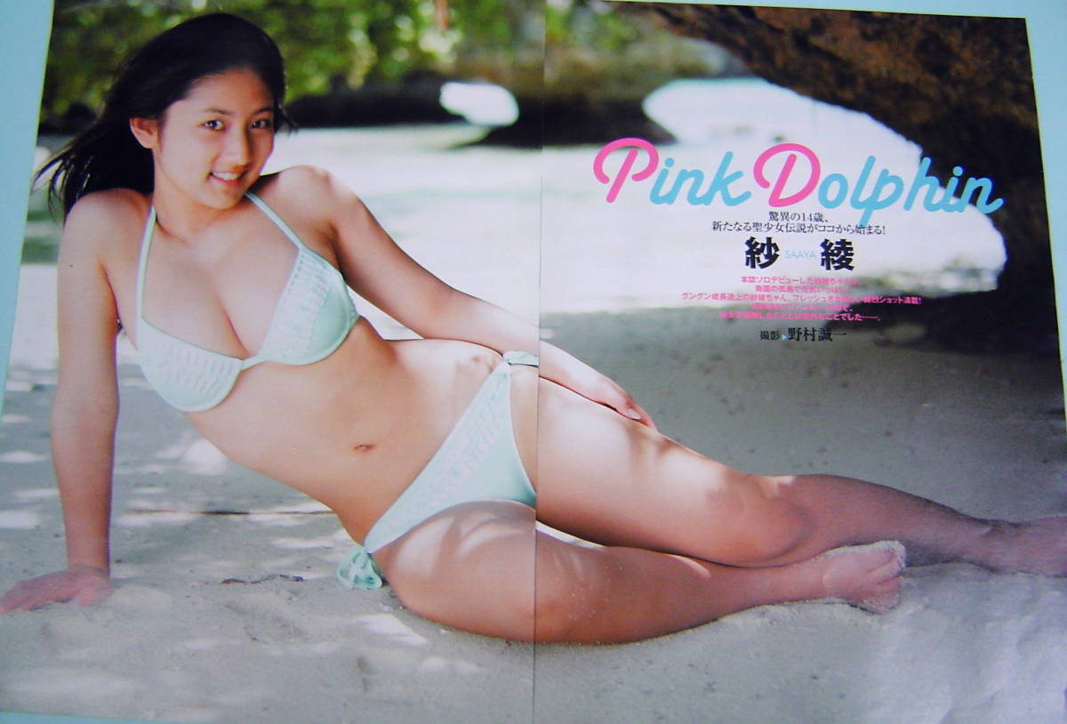 紗綾 ビキニ水着 【雑誌・切り抜き】グラビア アイドル・クリア 紗綾 ビキニ水着 【雑誌・切り抜き】グラビア アイドル・クリア