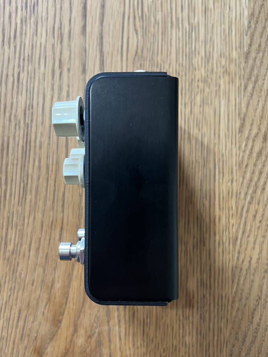 美品 付属品有 STRYMON FLINT ストライモン リバーブ トレモロ