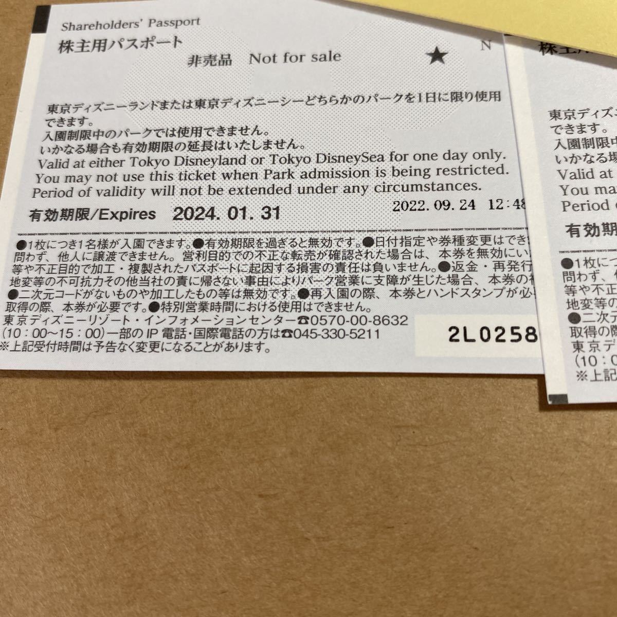 東京ディズニーリゾート チケット2枚組 ディズニーランド orディズニー