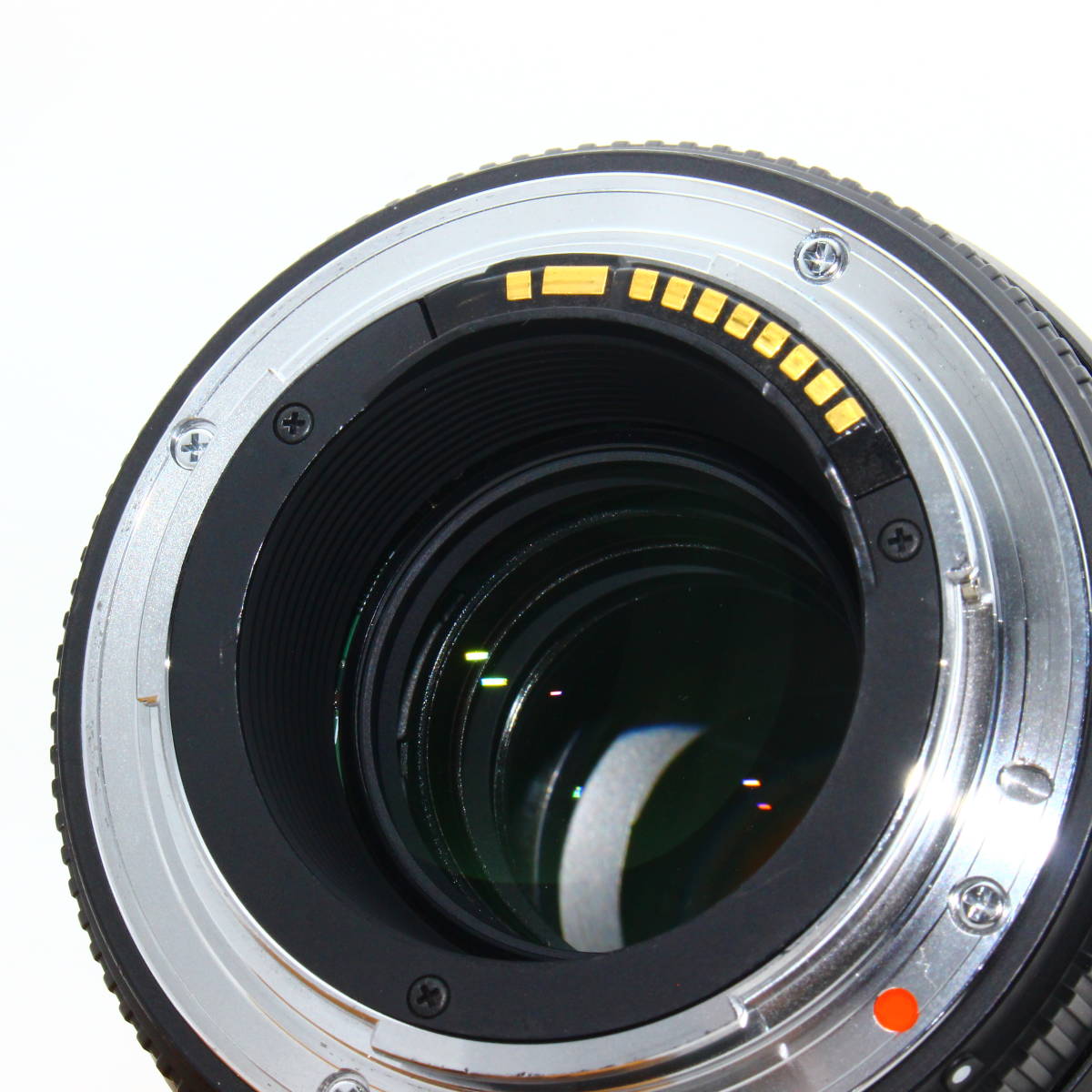 SIGMA 単焦点マクロレンズ MACRO 105mm F2.8 EX DG OS HSM キヤノン用