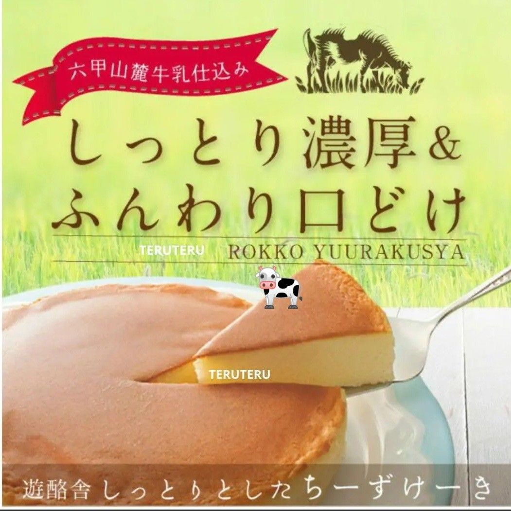 大きな6号！塩レモンチーズケーキ アウトレット 工場直売 前田製菓 - 菓子