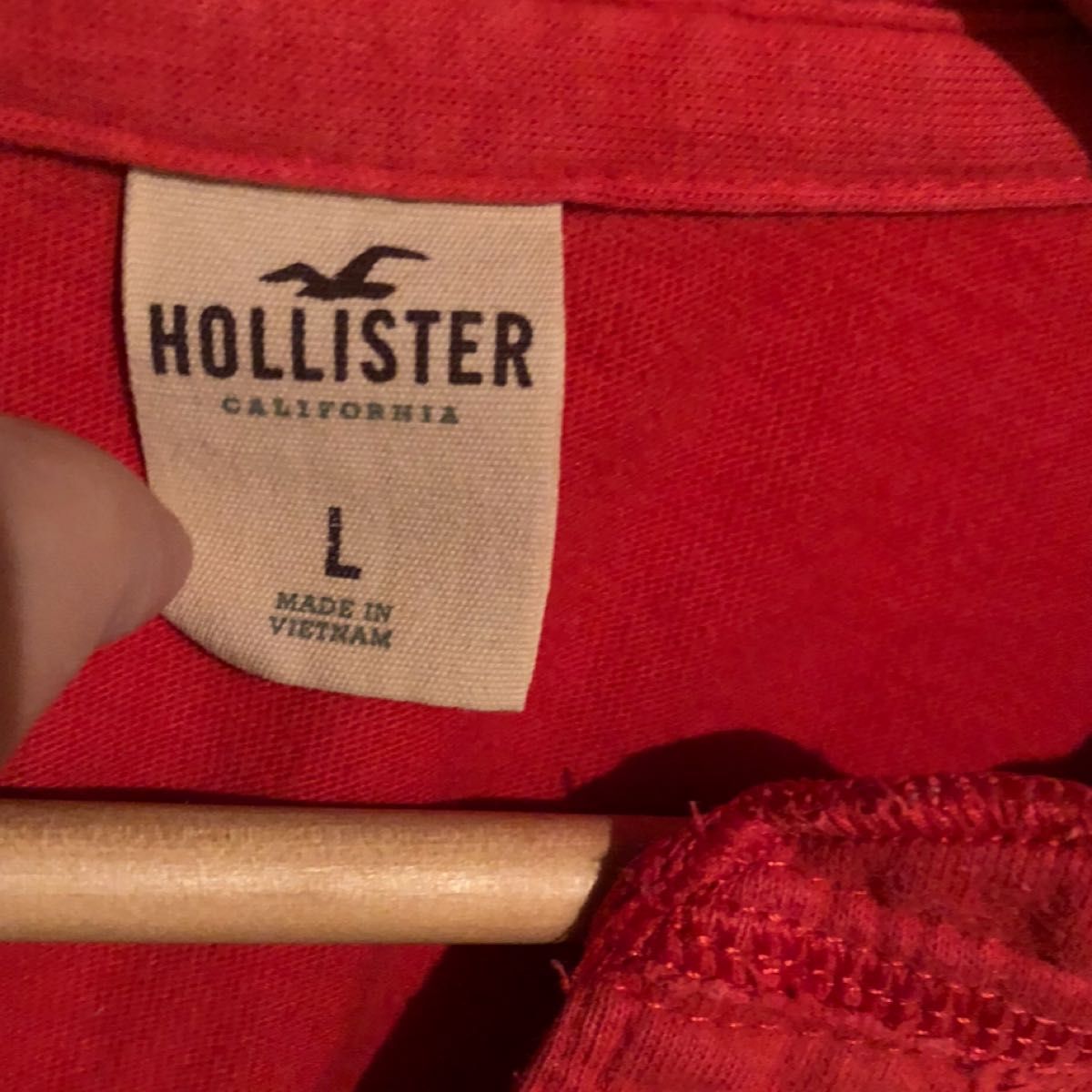 ホリスター　Hollister 半袖Tシャツ　Lサイズ　送料無料！！