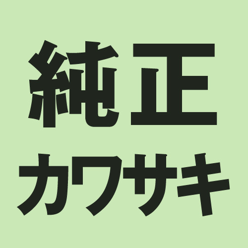 KAWASAKI(カワサキ) バイク 【純正部品】スプリング.クラッチ 92081-139_画像1