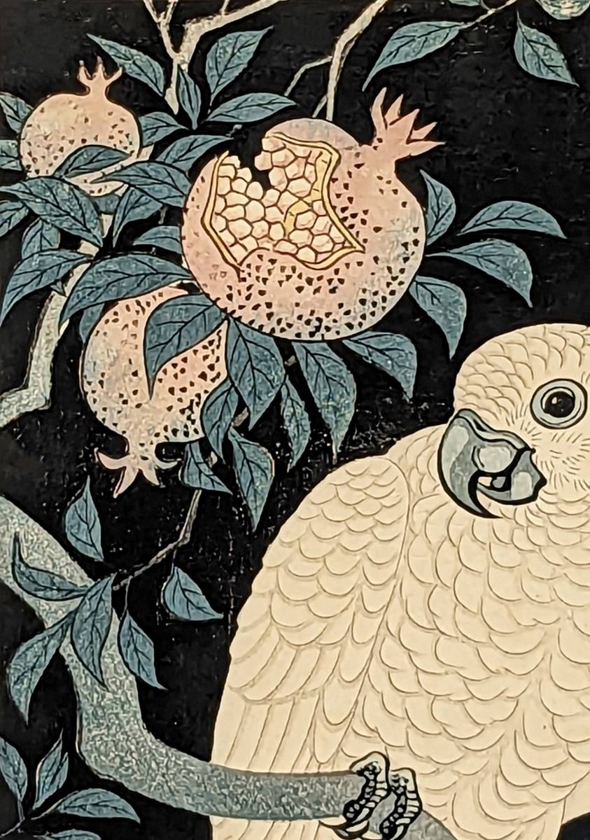 真作】希少 小原古邨(祥邨)木版画『柘榴に鸚鵡』昭和初期の 真作】希少 小原古邨(祥邨)木版画『柘榴に鸚鵡』昭和初期の