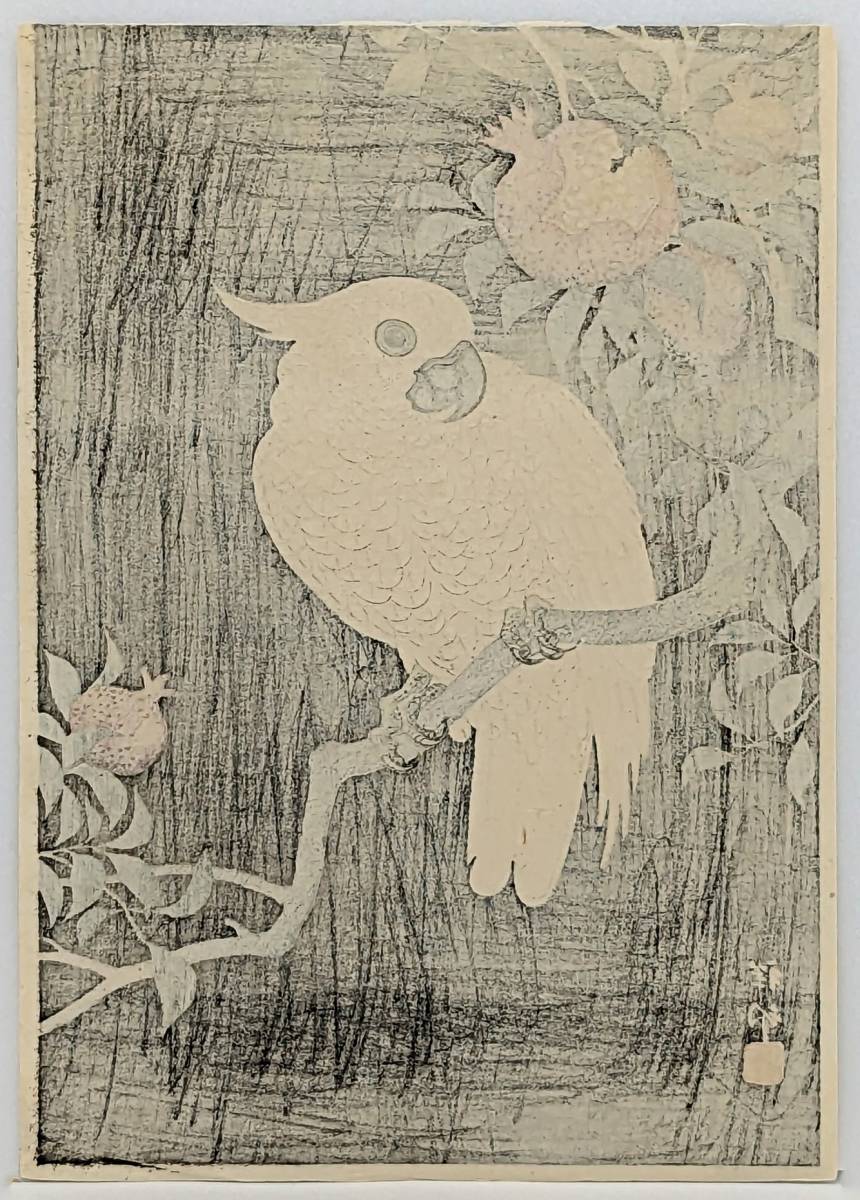 真作】希少 小原古邨(祥邨)木版画『柘榴に鸚鵡』昭和初期の 真作】希少 小原古邨(祥邨)木版画『柘榴に鸚鵡』昭和初期の