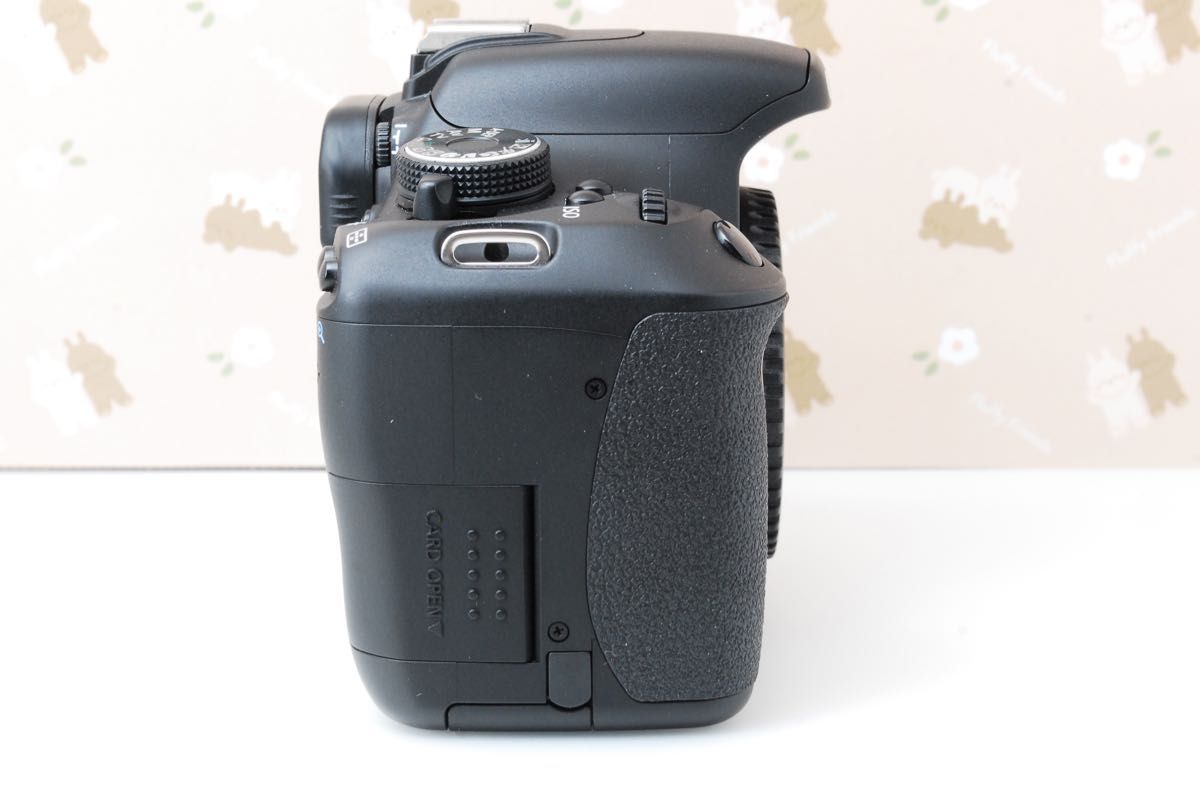 Canon eos Kiss X5近〜中距離対応レンズつき♪シャッター回数5868回
