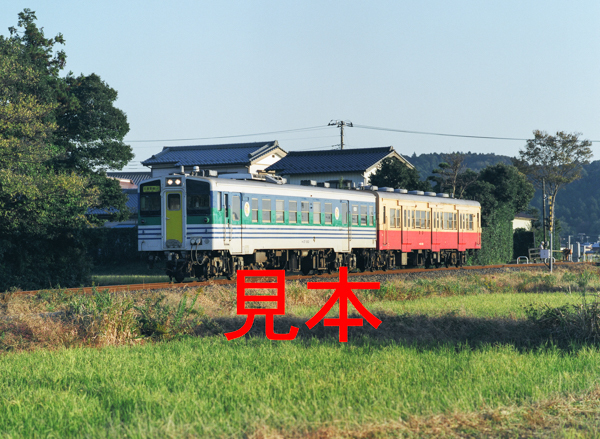 鉄道写真、645ネガデータ、167619770009、キハ37-1003＋キハ30-100、JR久留里線、小櫃〜下郡、2012.11.08、（4267×3125）_画像1