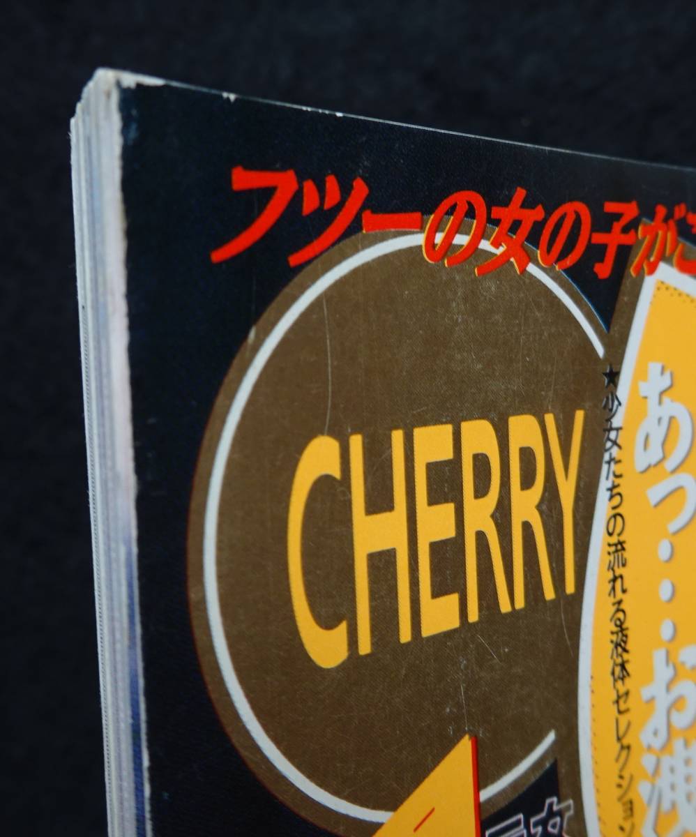 5576／CHERRYピンク 1995年 セーラーメイトDX.4月号増刊 水野ゆみ/小野崎なお/藤崎梨乃/森山ミク他/チェリーV/[漫画]さらだまさきの画像2