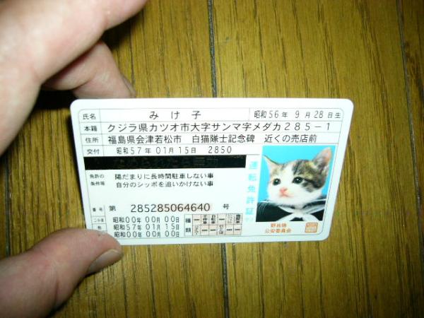  cat Yokohama silver . hot-rodder defect Bubble generation . sailor suit high school student .. cat card license proof Gold reverse side ....... character .. unused....