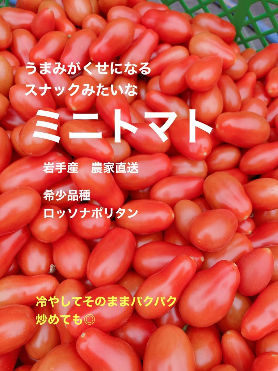当店一番人気】◇ミニトマト パクパク食べられる ロッソナポリタン