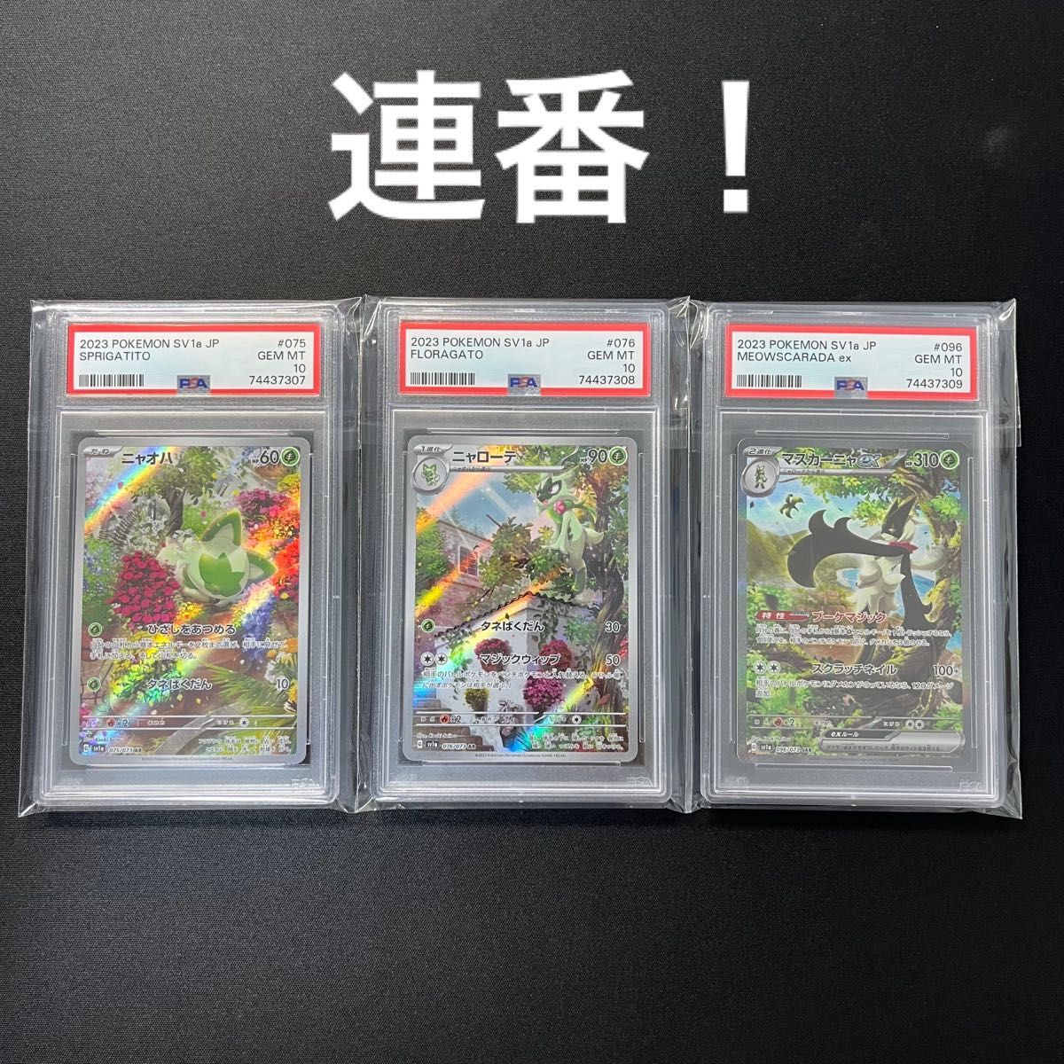 連番 】ポケモンカード ニャオハ AR PSA10 ニャローテ AR PSA10