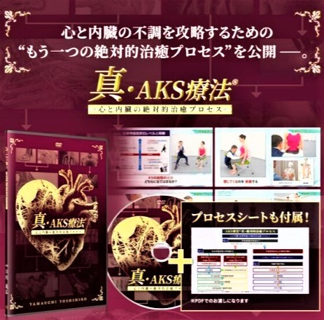 山内義弘の真・AKS療法(R)COMPLETE EDITION＋購入者限定-心と内臓の