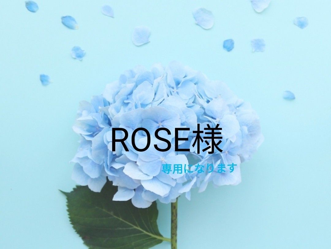 ROSE様専用になります｜Yahoo!フリマ（旧PayPayフリマ）