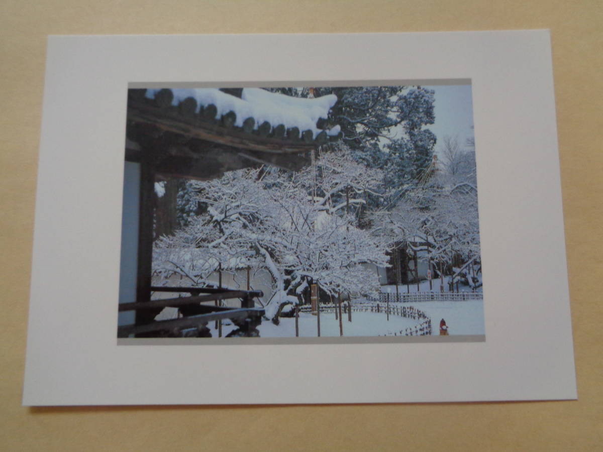 絵葉書　松嶋瑞巌寺（箱入り）　回廊と臥龍梅（冬景色）_画像1