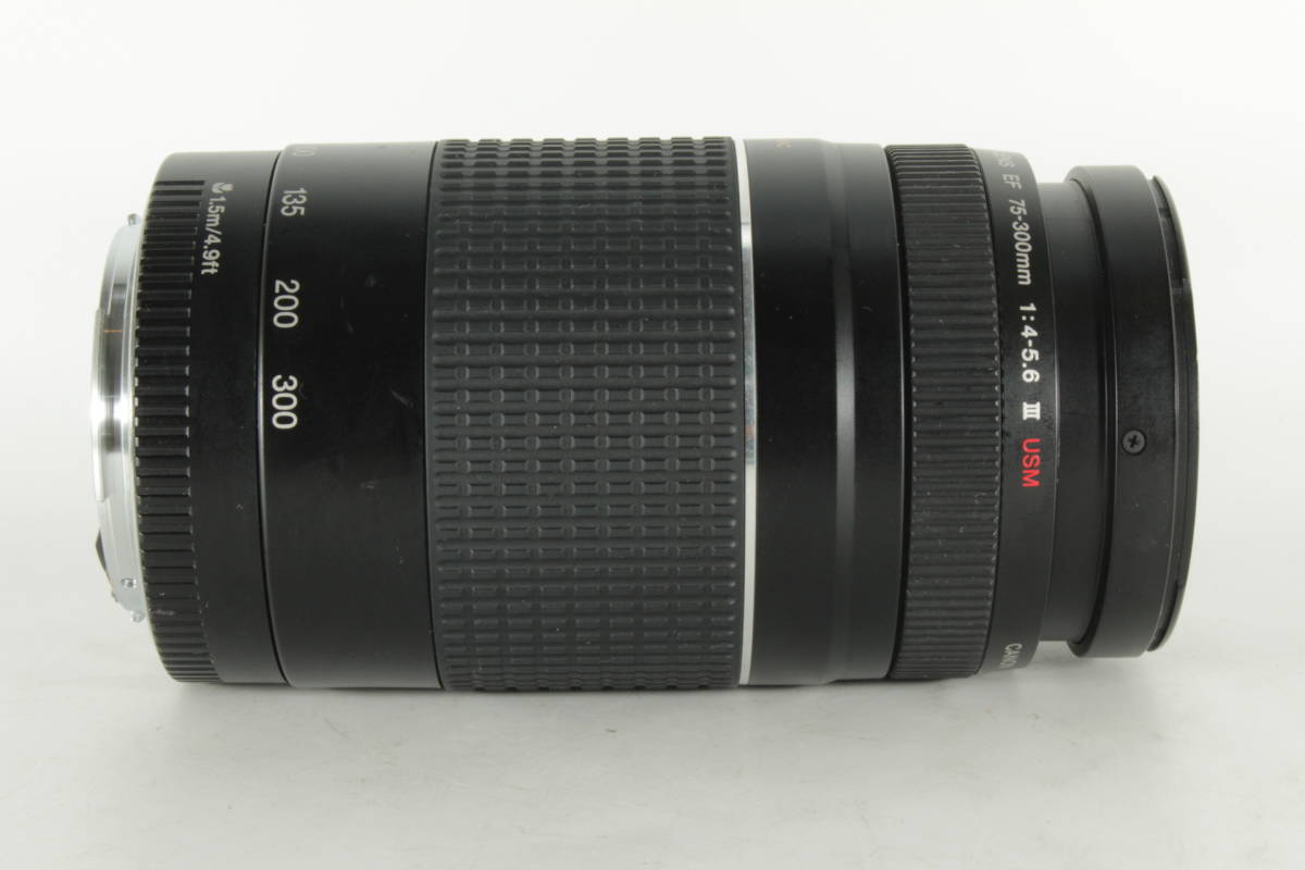 ☆実用美品☆ CANON キャノン EF 75-300mm F4-5.6 III USM | www