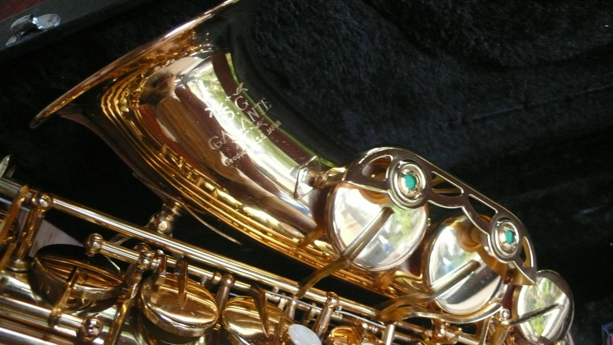 美品 S.G GALANTE アルトサックス 下倉楽器ケース | normanhubbard.com