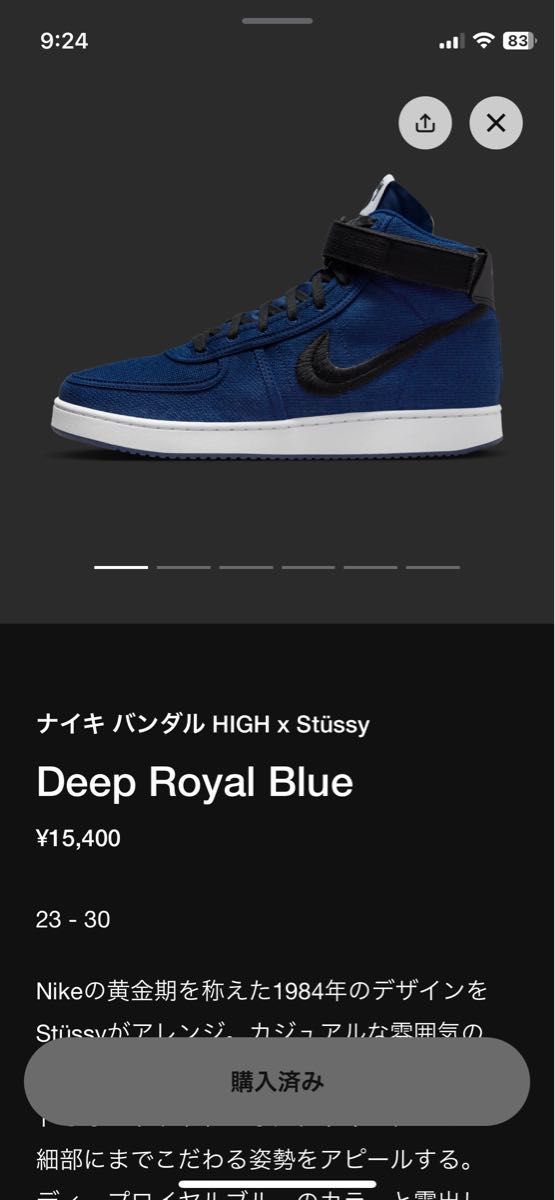 ナイキ バンダルHIGH × Stussy 26センチ | ticontrack.com