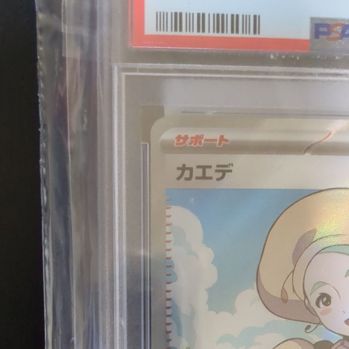 ポケモンカード カエデSR PSA10希少 女の子 サポート ポケカ 線なし 美