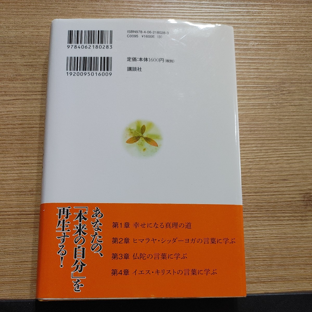 【古本雅】宇宙に結ぶ「愛」と「叡智」今を生きるための、ヨガと 仏陀 と キリストの教え ヨグマタ 相川圭子 著 ISBN 9784062180283 講談社_画像2