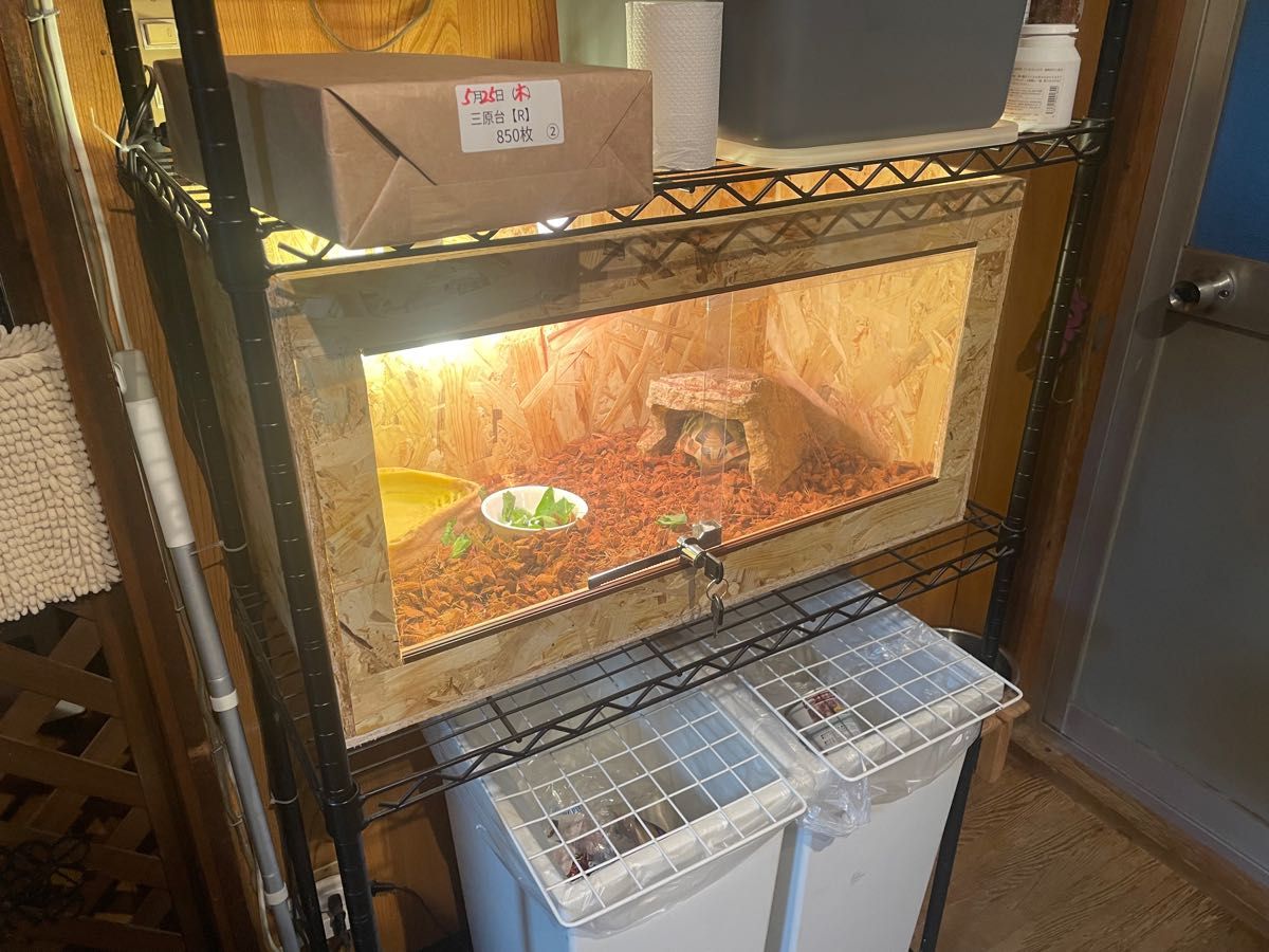 爬虫類ケージ 70×30×30 リクガメ フトアゴ レオパ
