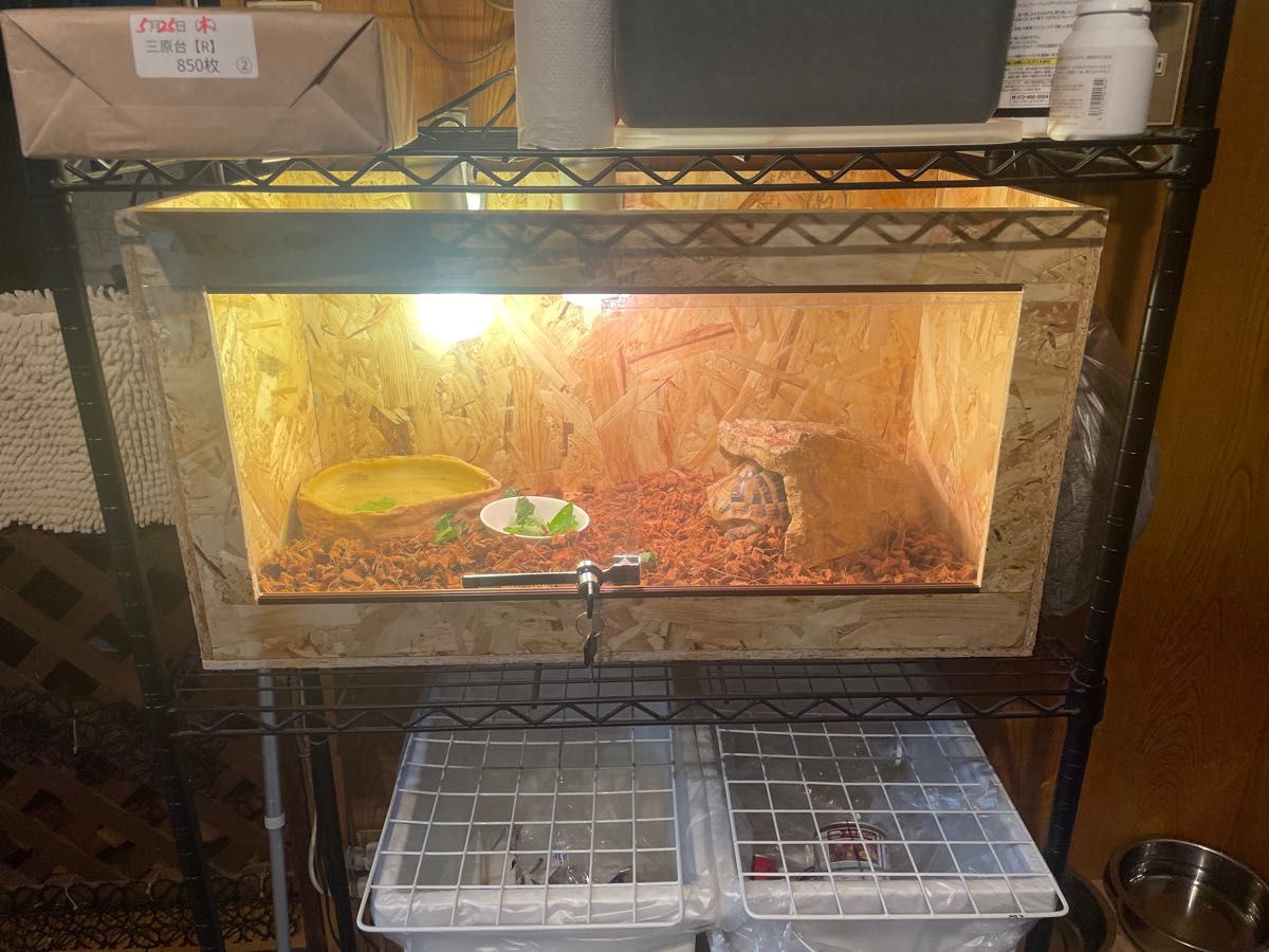 爬虫類ケージ 70×30×30 爬虫類ゲージ フトアゴ レオパ 割引送料無料