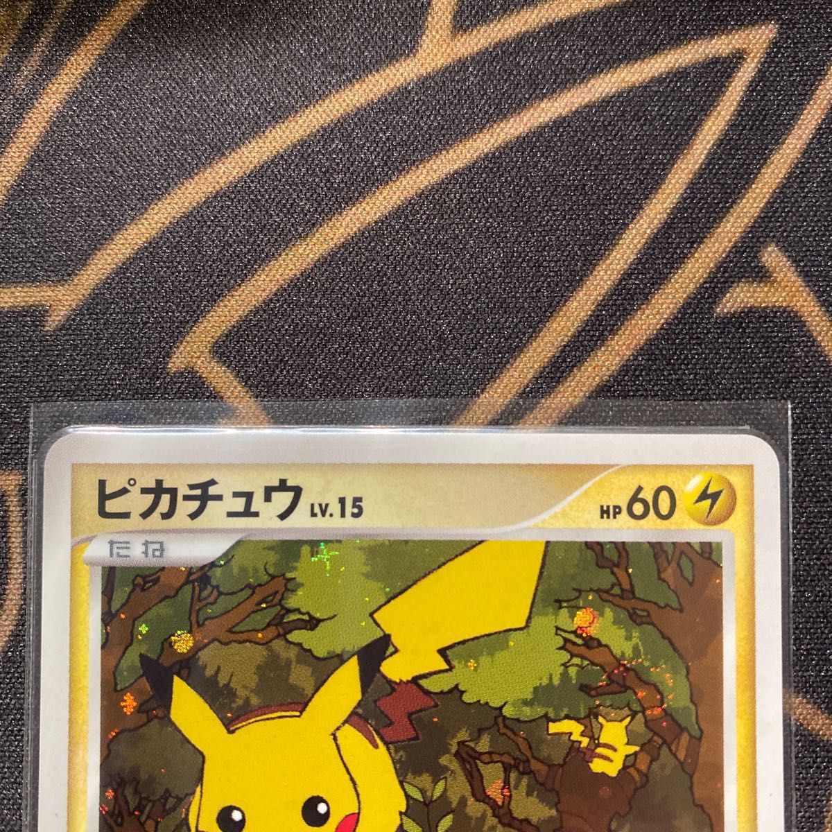 ポケモンカード　とりかえっこDP プロモ