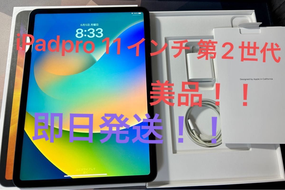 美品 iPad Pro11インチ 第2世代 128GB WiFiモデル スペースグレー