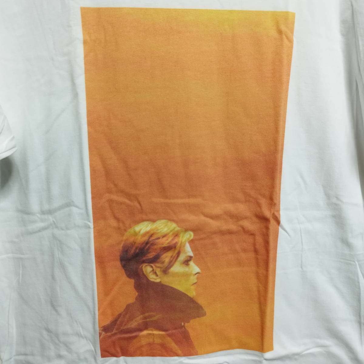 David Bowie (デヴィッドボウイ デビッド) BIGプリント バンドTee Tシャツ Lサイズ『ロウ LOW』★送料無料/新品の画像2