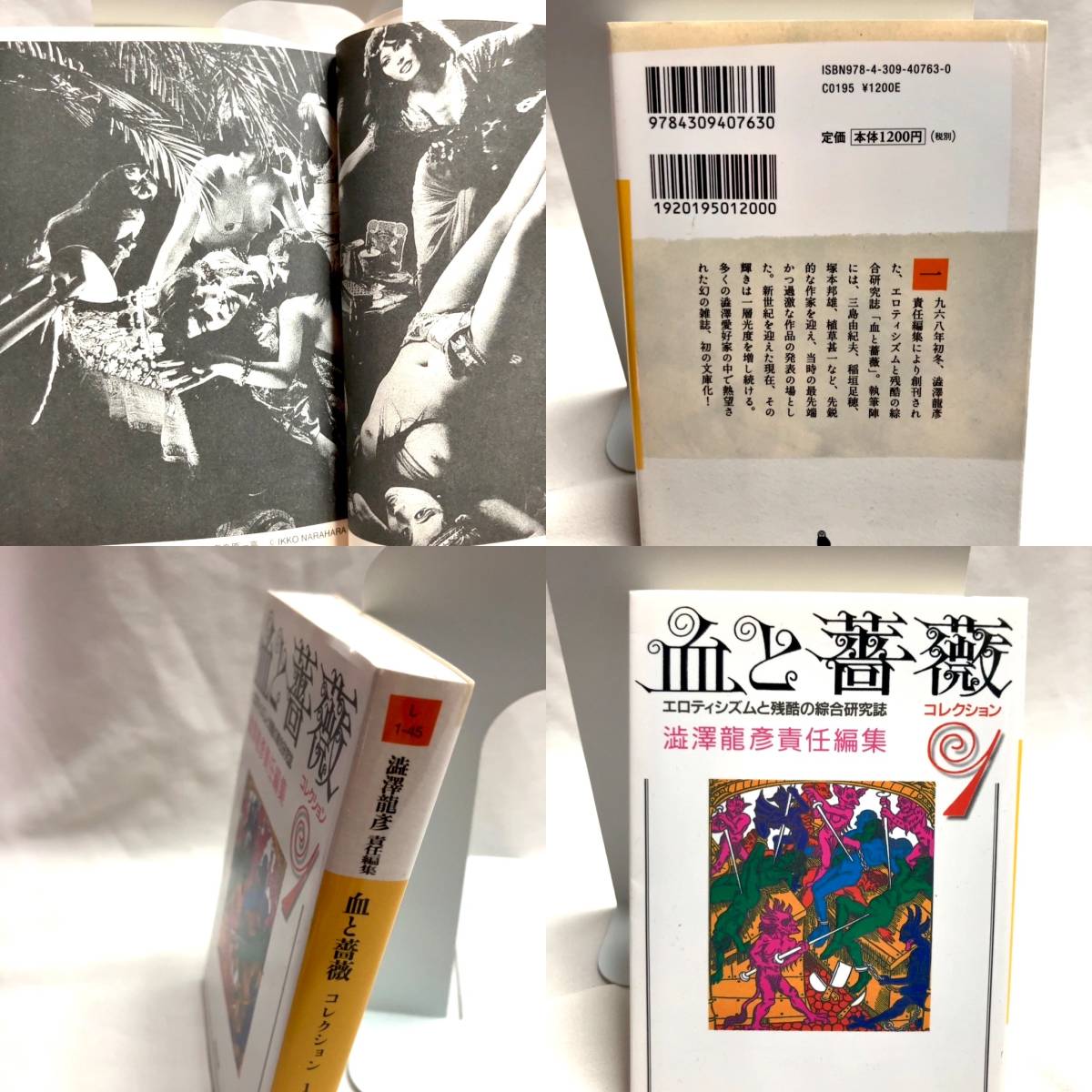 血と薔薇コレクション 1 (河出文庫) 文庫 澁澤 龍彦 (編集) | sariagri.id