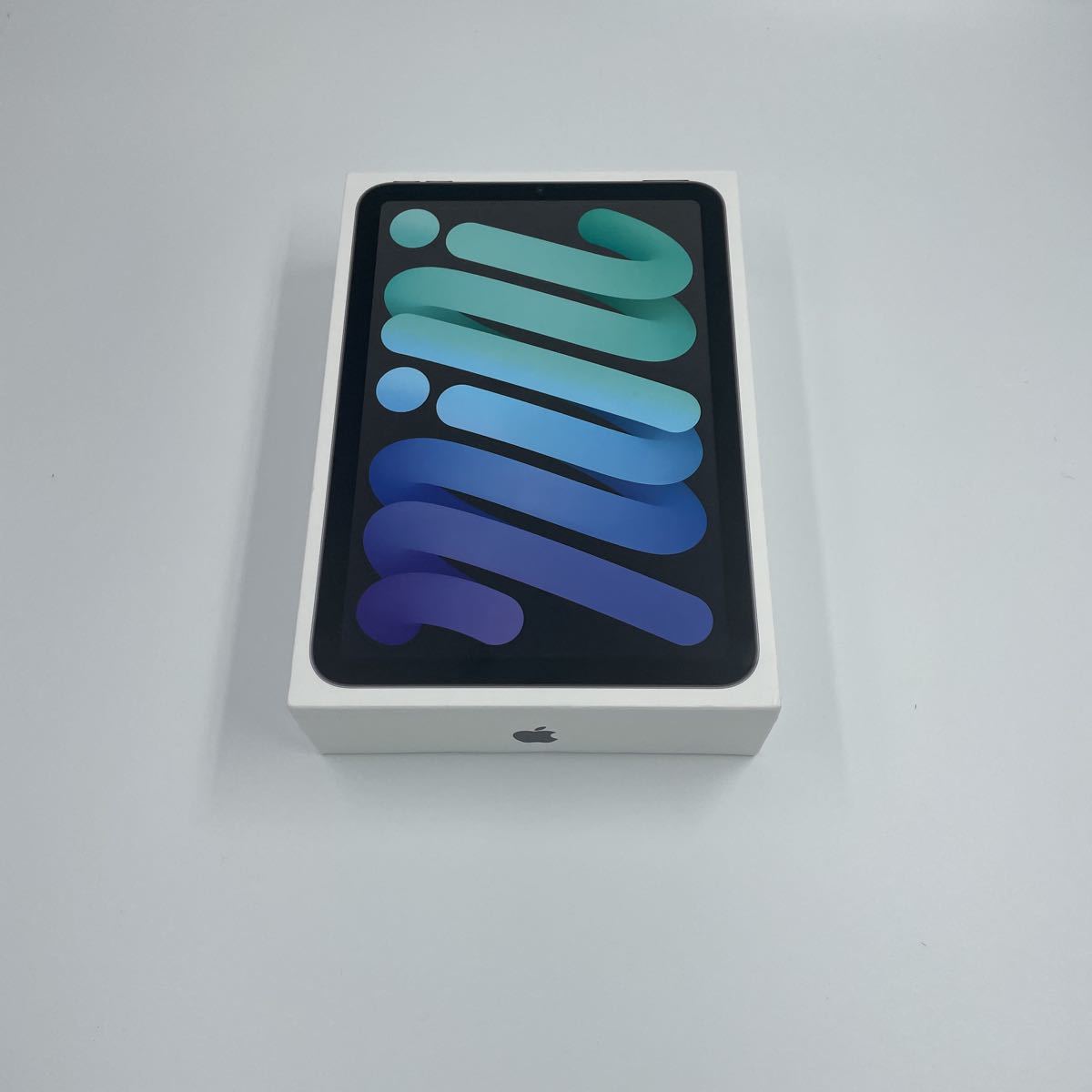 iPad mini Wi-Fi 256GB スペースグレイ 2021年モデルの画像1