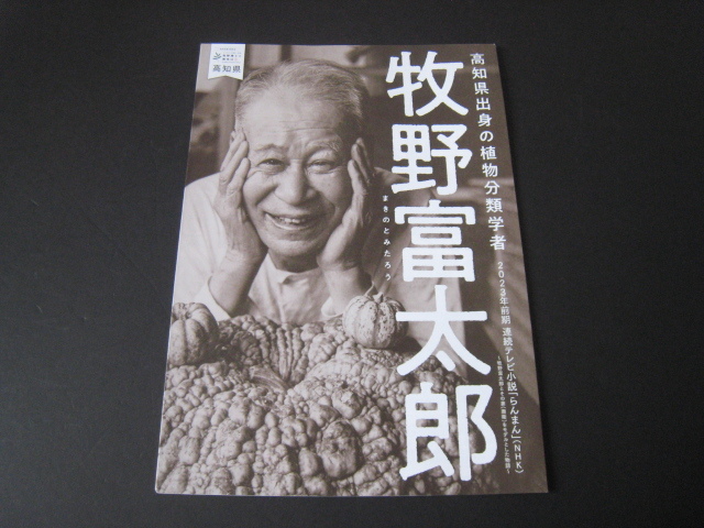 【チラシまとめて】牧野富太郎/神木隆之介『 NHKドラマ連続テレビ小説・らんまん 』_画像5