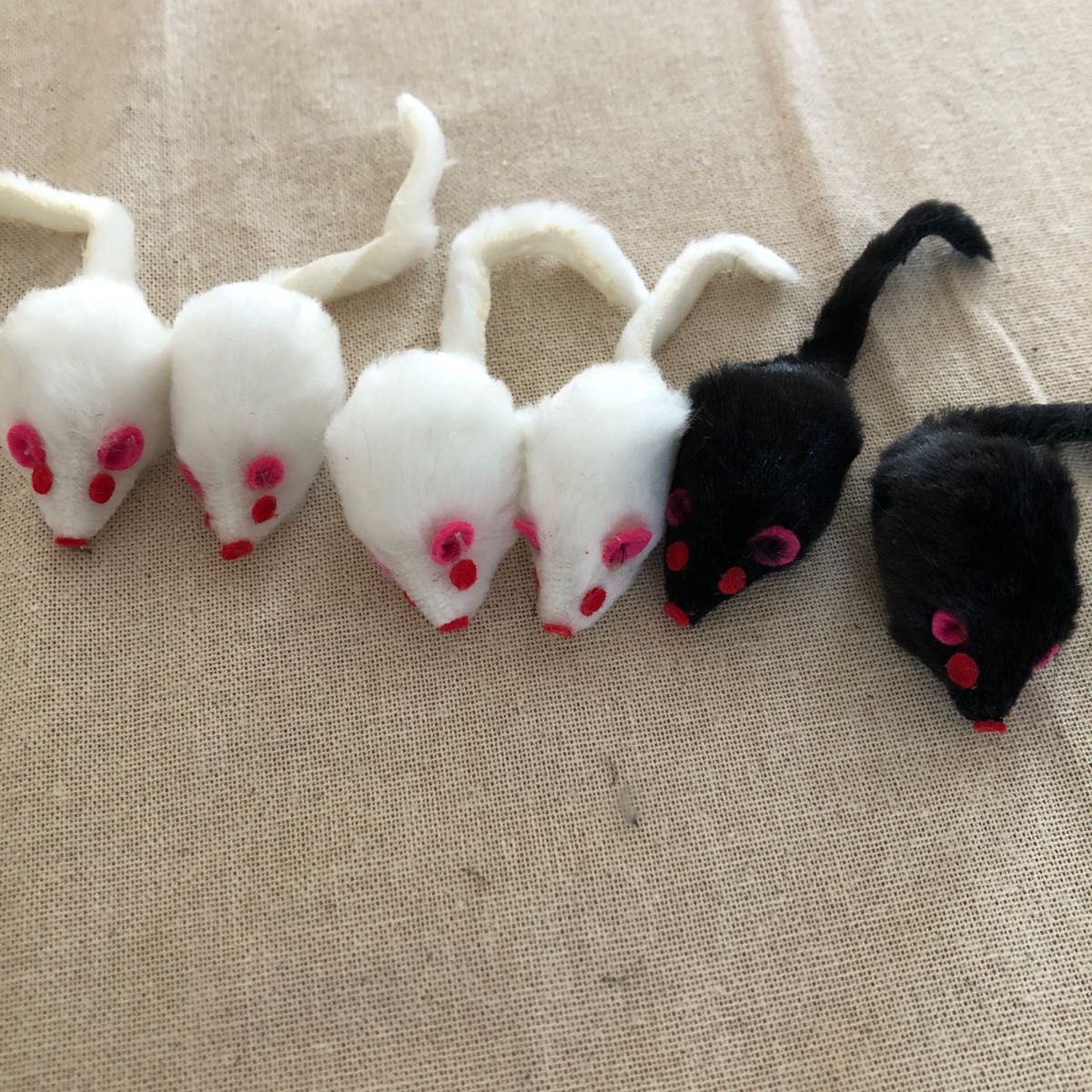 猫ちゃんのおもちゃ ねずみ ネズミぬいぐるみ 12匹セット｜PayPayフリマ
