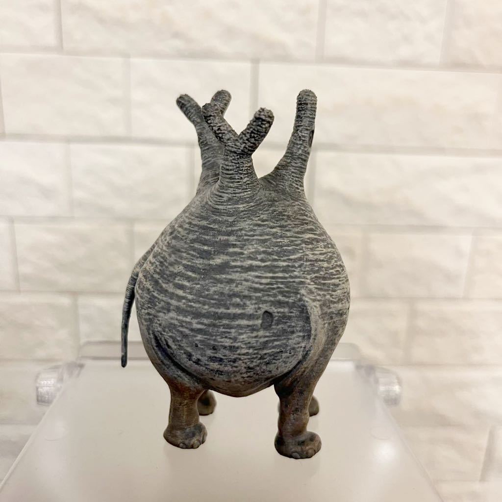 OZWRT SS CaudexMan Pachypodium Graciliphant オペルクリカリア OZWRT SS CaudexMan Pachypodium Graciliphant オペルクリカリア