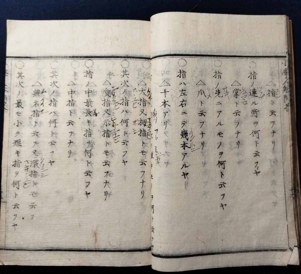 Y653 絵入◇生徒必携 小学人体問答◇明治初期 教科書 理科 古典籍 古本 資料 木版画 和本 古書 JChere雅虎拍卖代购 小学生2年生 教科書国語上下2冊セット